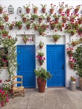 Blue front doors with many red geraniums in flowerpots on a house wall