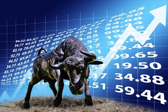 Bull in front of rising stock curve
