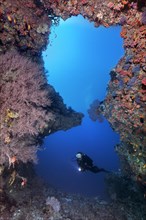 Diver looks at great reef breakthrough