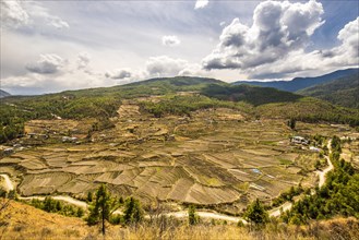 Terraced cultivation