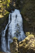 Waterfall in the Wasserlochklamm