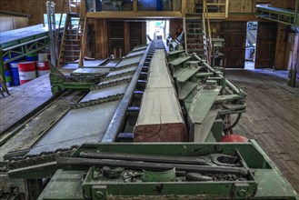 Block train for tree trunks in front of the gate saw