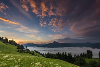 Mountain meadow with mountain top with sea of fog at sunrise