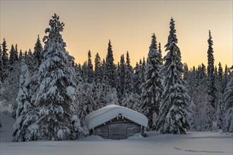 Snow-covered hut in winter landscape