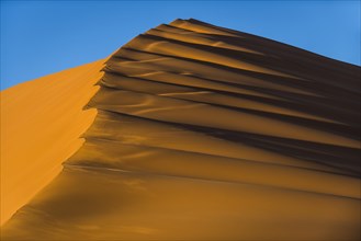 Dune crest