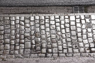 Glittering wet cobblestone pavement