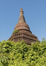 Stupa at Shwegudaung Hill