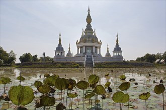 Pond with Lotus (Nelumbo) in front of Maha Rattana Chedi of Wat Thung Setthi