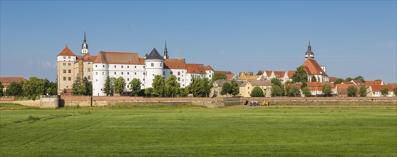 Cityscape with Hartenfels Castle and municipal church St.Marien