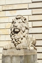 Lion statue in front of the Hamburg City Hall