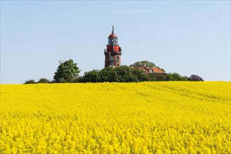 Rape field with lighthouse Bastorf