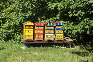 Coloured painted beehives