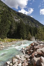 Mountain river Sarca