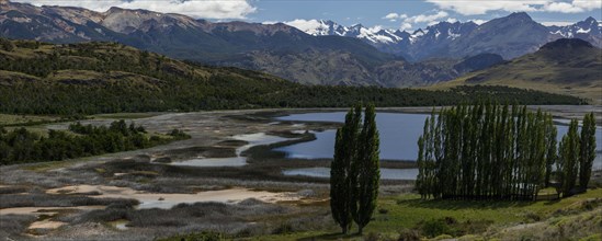 Clear mountain lake with reeds and trees behind the snow-capped mountains of the Andes