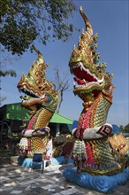Naga snakes in Wat Pa Thamma Utthayan