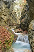 Stanser Bach in the Wolfsklamm