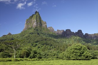 Overgrown green mountain range with highest peak