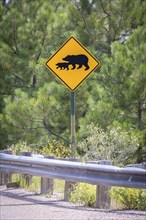Warning sign Bears