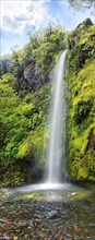 18m high Dawson Falls waterfall in the middle of a tropical rainforest