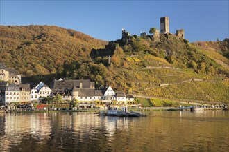 Beilstein and ruins of Metternich Castle with vineyard