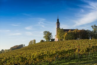 Pilgrimage church Birnau with vineyards in autumn