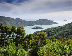 View over the Marlborough Sounds
