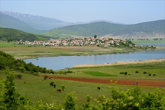 Dolna Gorica at Lake Prespa