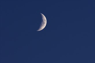 Moon crescent in the evening sky