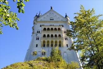 Castle Neuschwanstein