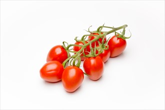Mini Cherry Tomatoes