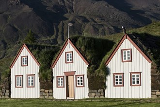 Old icelandic turf houses Laufas