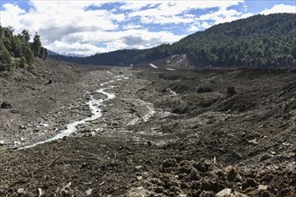 Destroyed forest by a landslide in Villa Santa Lucia