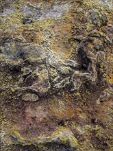 Volcanic rock with sulphur and mineral deposits
