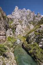 La Ruta del Cares trail in the Picos de Europa National Park