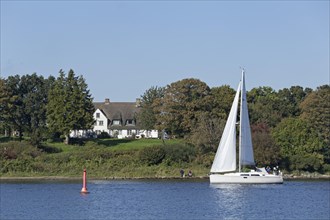 Sailboat on the Schlei