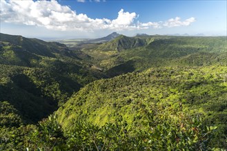 View over the gorge in the Black River Gorges National Park