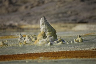 Sulphur sediments in the thermal area of Dallol