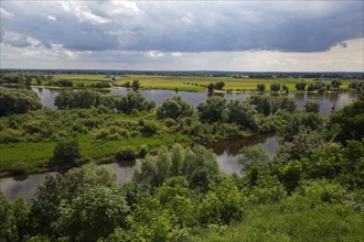 Glacial river valley of the Elbe in the UNESCO Biosphere Reserve River Landscape Elbe