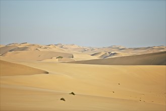 Sand dunes near Lange Wand