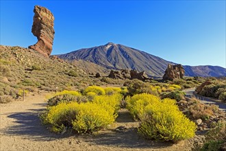 Rock formation Los Roques de Garcia in front of volcano Pico del Teide