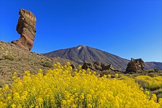 Rock formation Los Roques de Garcia in front of volcano Pico del Teide