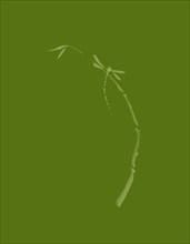 Artistic Japanese Zen illustration design of Dragonfly sitting on young bamboo stalk on natural earthy green background