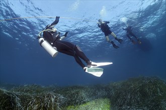 Divers dive on rope