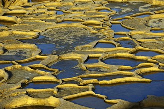 Gozo salt pans