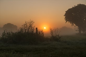 Morning fog over meadow landscape at sunrise