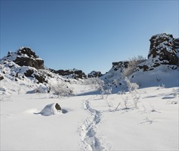 Footprints in snowy landscape
