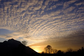 Sheep clouds (Altocumulus) at dusk