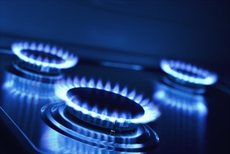 Blue gas flames on a gas stove