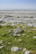 Burren karst landscape