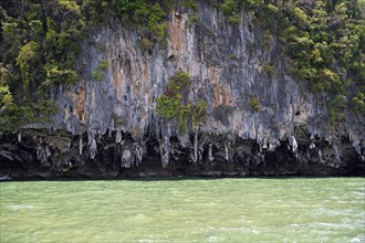 Eroded overgrown limestone rocks in Phang Nga Bay